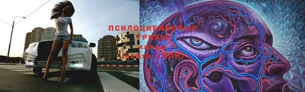 соль ск Костерёво